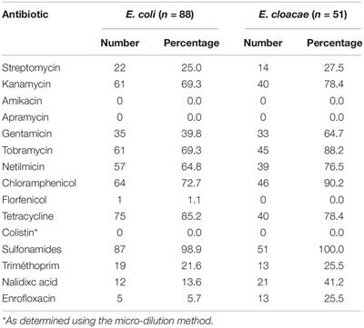 Wide Spread of blaCTX–M–9/mcr-9 IncHI2/ST1 Plasmids and CTX-M-9-Producing Escherichia coli and Enterobacter cloacae in Rescued Wild Animals